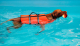 LIFE JACKET