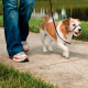 EASY WALK RONZAL