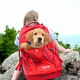 KURGO MOCHILA G TRAIN K9