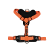 ARNES X-TRM CRONOS
