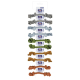 RISTRA CUERDA DENTAL